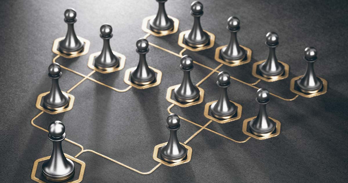 🏢 Business Organization: Structuring Your Company for Success